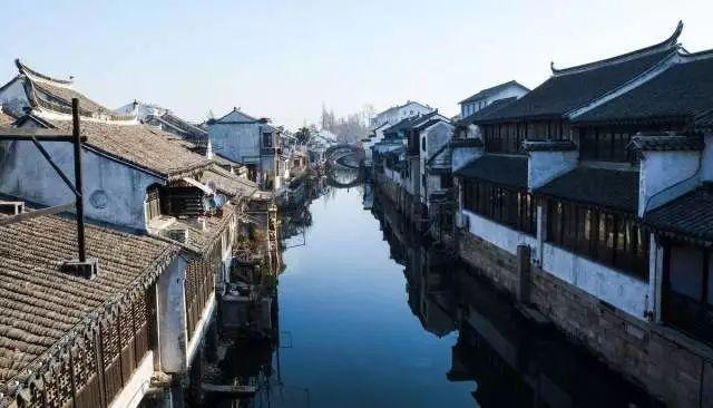 机智问答网页-我把一只老虎幼崽从小养大,它会攻击我吗?相关的问题解答